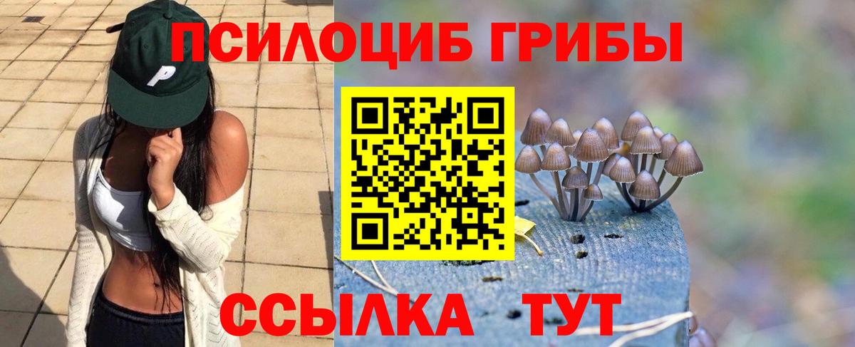 Конопля  НБОМе  Меф МЯУ МЯУ   COCAIN  Куйбышев  Вход с VPN  ГАШИШ 