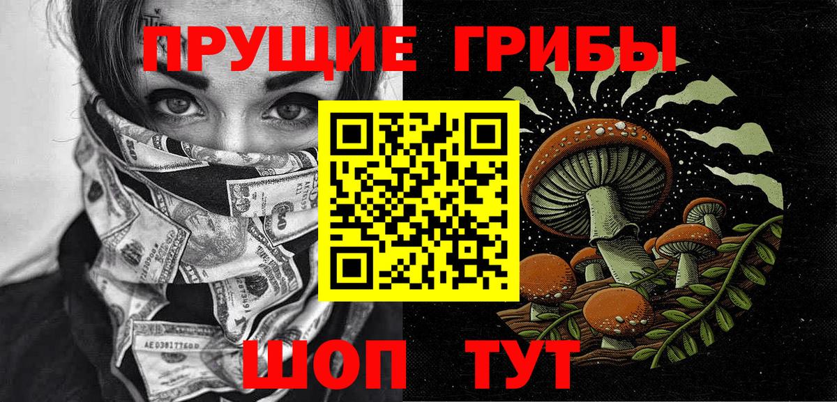 Псилоцибиновые грибы мицелий Куйбышев